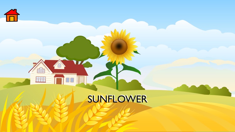 Learn - Fruits & Flowers screenshot-4