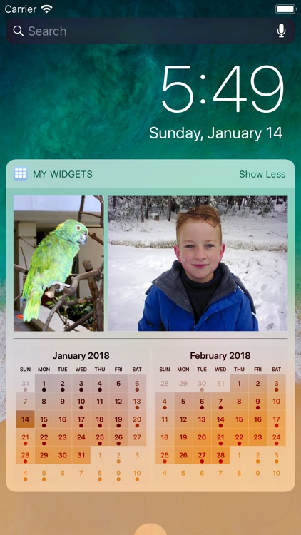 My Widgets screenshot-0