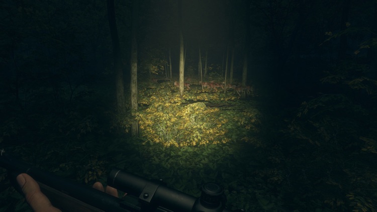 HUNTER 2019 screenshot-4