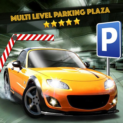 Metro City Car Parking Plaza