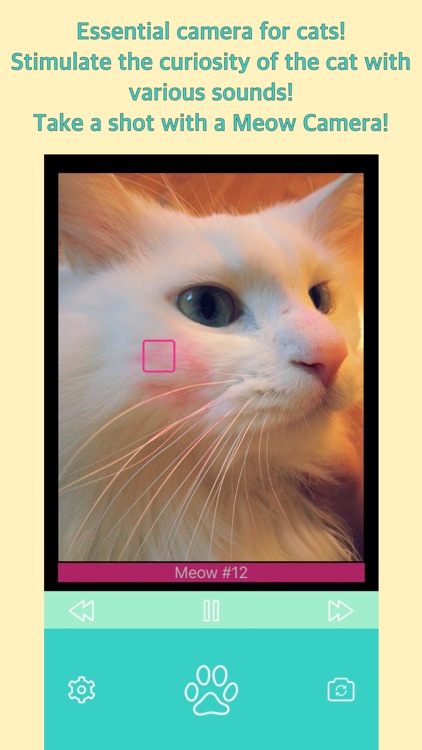 Meow Camera - For Cat