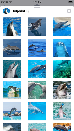 Dolphin HQ - High Quality Pics(圖2)-速報App