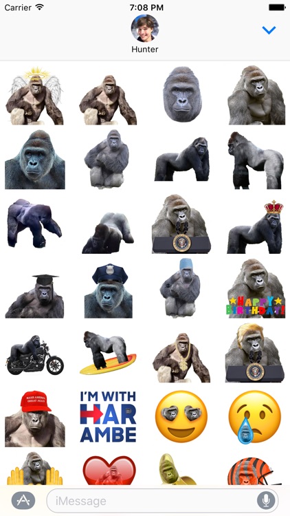 Harambe Sticker Pack