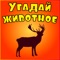 Викторины всегда пользуются высоким уровнем популярности, да и как вообще можно не любить такие замечательные игры