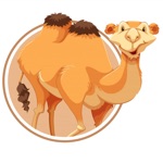 Camel Beauty Cam Photo Filter