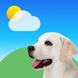 Paw Weather - Cute weather app