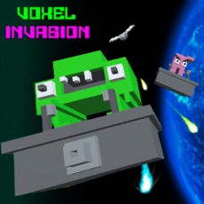 Activities of Voxel Invasion