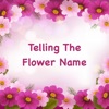Telling The Flower Name