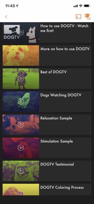 DOGTV(圖4)-速報App