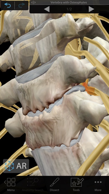 Muscles & Kinesiology screenshot-5