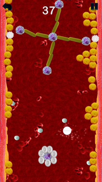 Lower Cholesterol