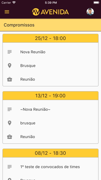 Grupo Avenida - Governança screenshot-3