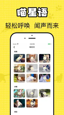 Game screenshot 猫咪翻译官-猫与人的交流器 apk