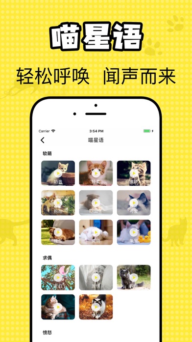 猫咪翻译官-猫与人的交流器 screenshot 2