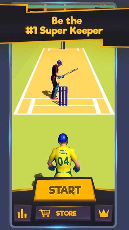 Super Keeper Cricket Challenge