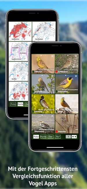 Vögel der Schweiz - Fotoguide(圖7)-速報App