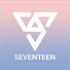 XLAB Co.,Ltd - Seventeen Light Stick アートワーク