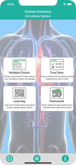 Anatomy : Circulatory System