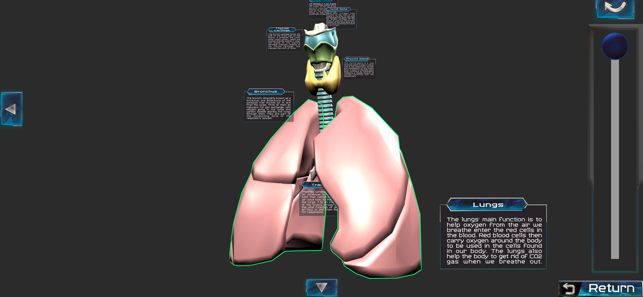 Human anatomy system & parts(圖5)-速報App