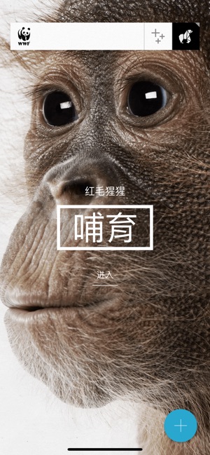 WWF Together(圖3)-速報App