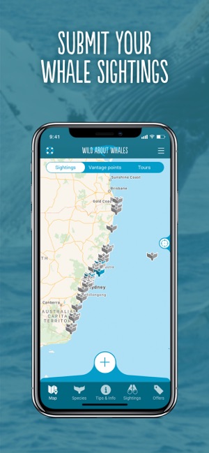 Wild About Whales(圖1)-速報App