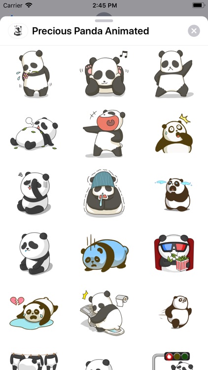 Precious Panda Animated