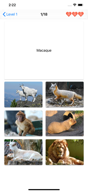 Mammals – Learn All Animals!(圖6)-速報App