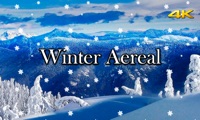 Winter Aereal pour PC
