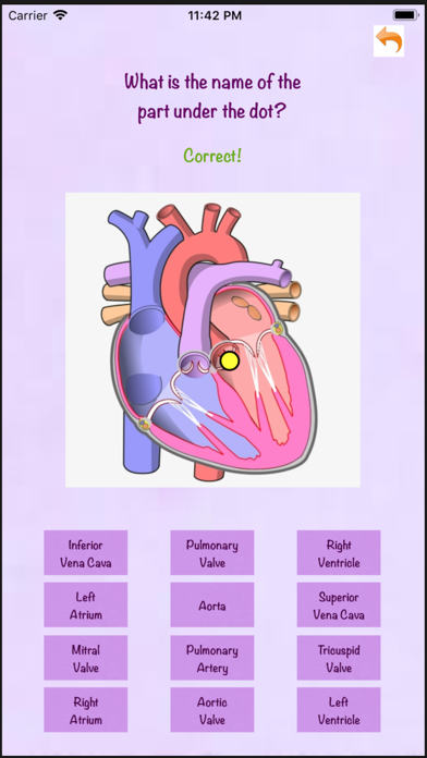 Anatomy Whiz screenshot 3