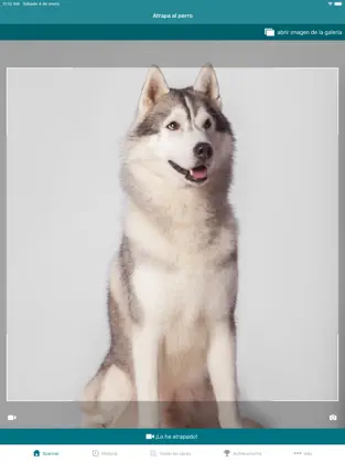 Captura 1 Dog Scanner iphone