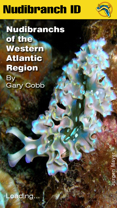 How to cancel & delete Nudibranch ID Western Atlantic from iphone & ipad 1