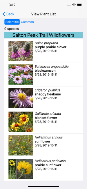 Wildflowers of Montana(圖8)-速報App