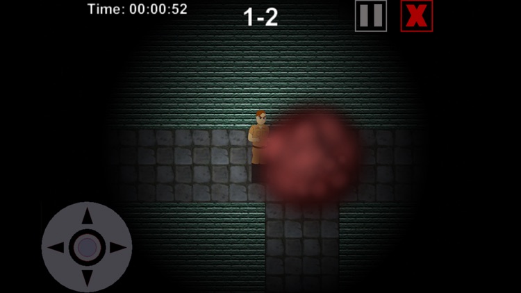Escape from Labyrinth screenshot-4