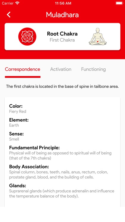 Chakras - Meditation & Healing
