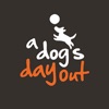 A Dogs Day Out