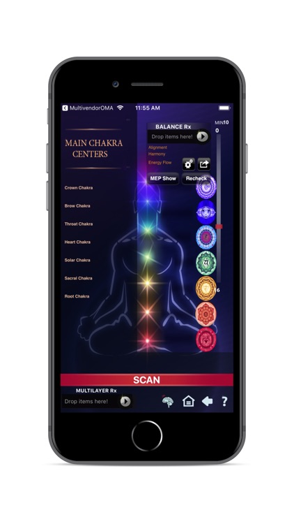 Quantum Chakra & Aura Scan