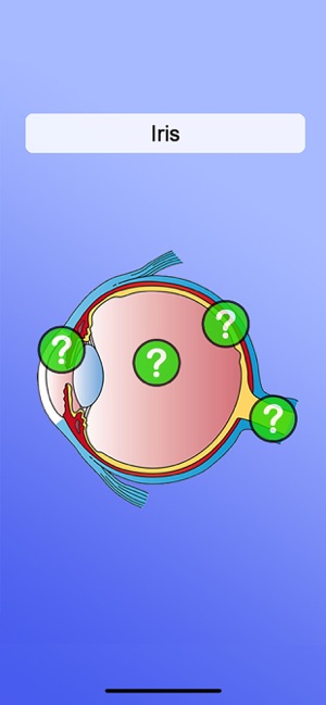 Anatomy Pro(圖4)-速報App