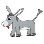 Donkey Sounds Funny Sounds