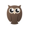 Owl - البوم