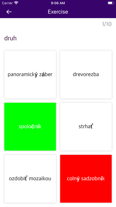 Slovak Czech Dictionary screenshot 4