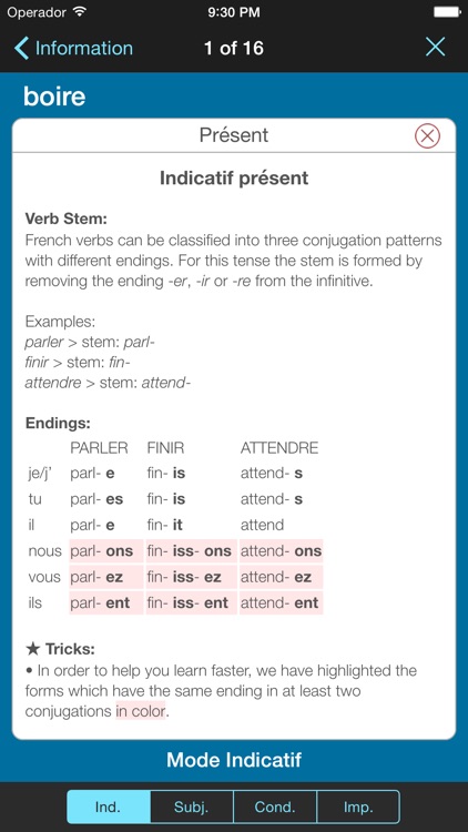 French Verbs & Conjugation L screenshot-3