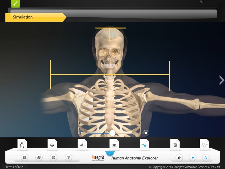 Human Anatomy - Skeletal screenshot-4
