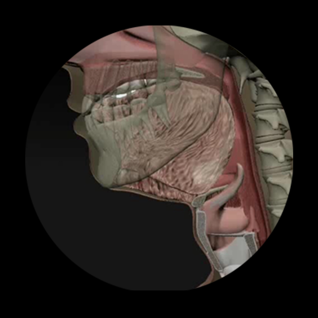 Dysphagia App Icon
