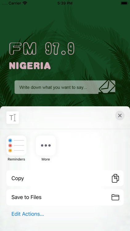 Nigeria FM 97.9 screenshot-4