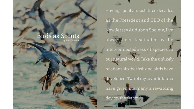 Tail Fly Fishing Magazine screenshot-5