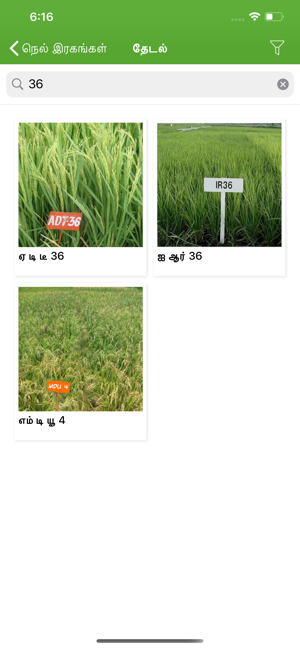 Paddy Varieties(圖3)-速報App