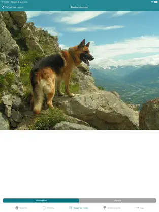 Screenshot 9 Dog Scanner iphone