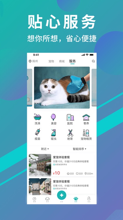宠都 screenshot-3