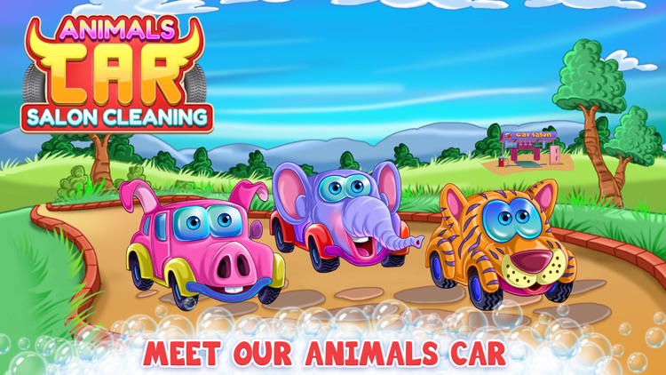 Animals Car Salon Cleaning