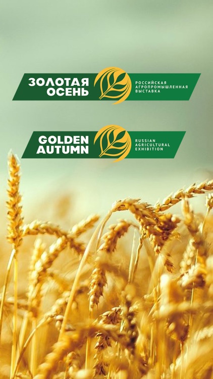 Золотая Осень - Golden Autumn